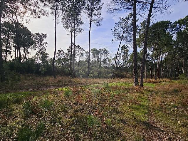 Terreno venda em Alcafache, Mangualde