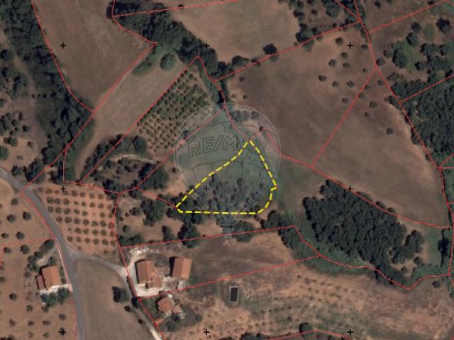 Terreno venda em Alcanede, Santarém