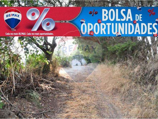 Terreno venda em Alcanena, Santarém