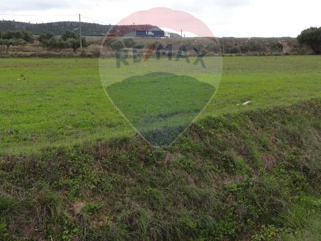 Terreno venda em Alcanena, Santarém