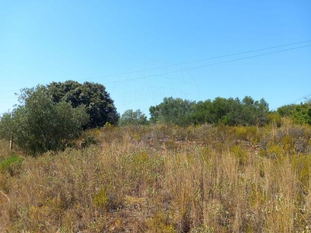 Terreno venda em Alcanena, Santarém