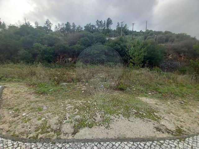 Terreno venda em Alcanena, Santarém