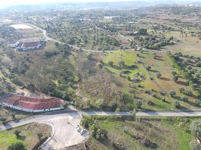 Terreno venda em Alcanena e Vila Moreira, Alcanena