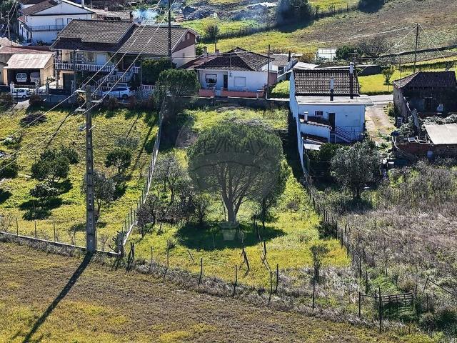 Terreno venda em Alcanena e Vila Moreira, Alcanena