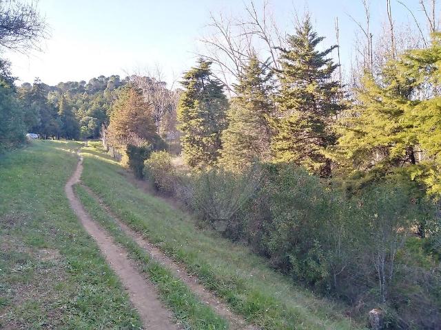 Terreno venda em Alcanena e Vila Moreira, Alcanena