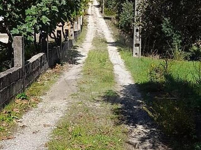 Terreno venda em Alcanena e Vila Moreira, Alcanena