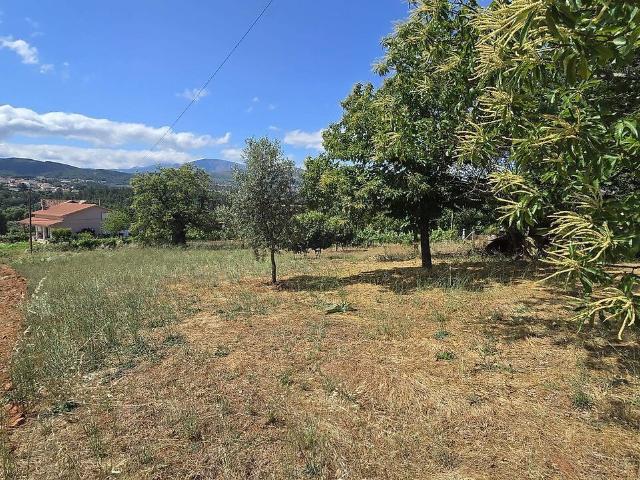 Terreno venda em Alcaria, Fundão