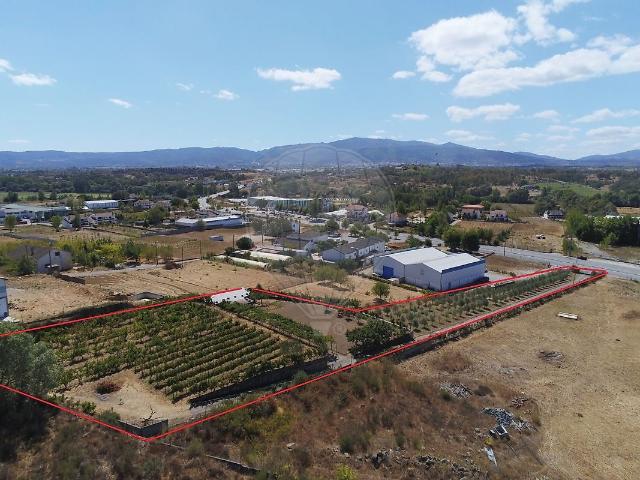 Terreno venda em Alcaria, Fundão