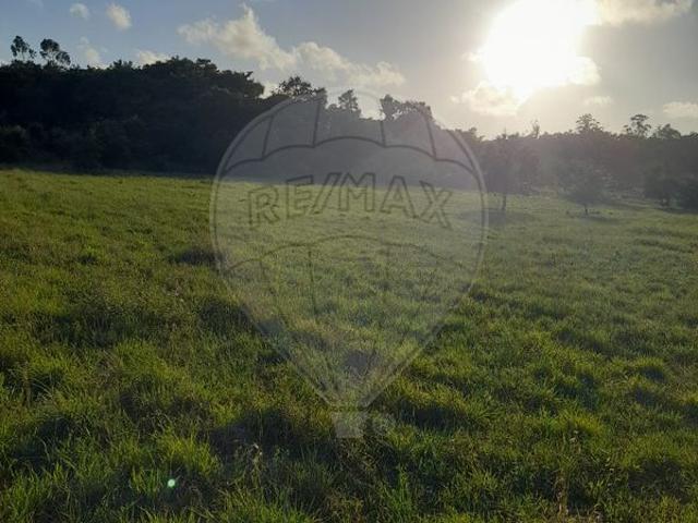 Terreno venda em Vale Vazão, Alcobaça
