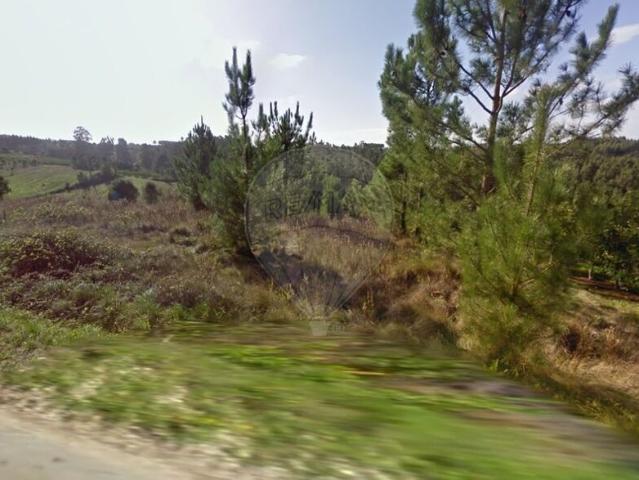 Terreno venda em Alcobaça, Leiria