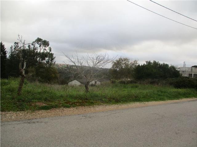 Terreno venda em Alcobaça, Leiria