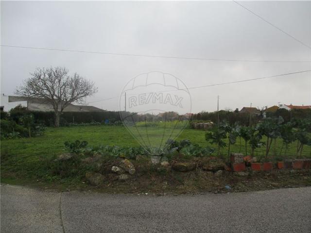 Terreno venda em Cumeira de Baixo, Alcobaça