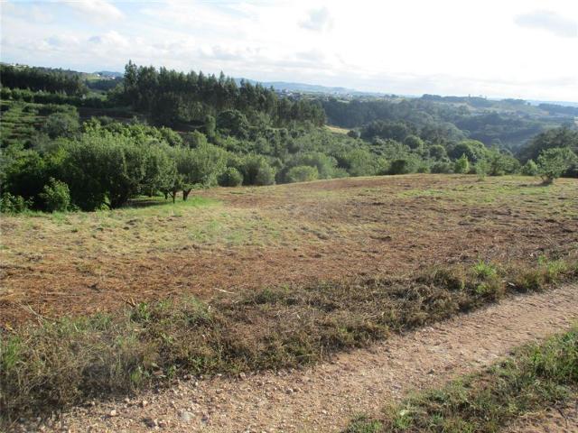 Terreno venda em Alcobaça, Leiria