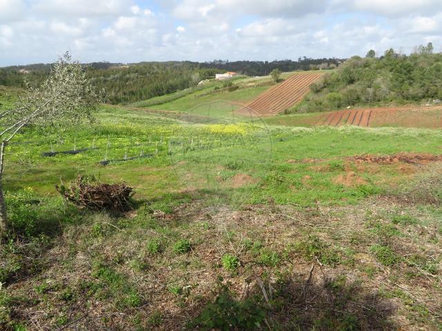 Terreno venda em Alcobaça, Leiria