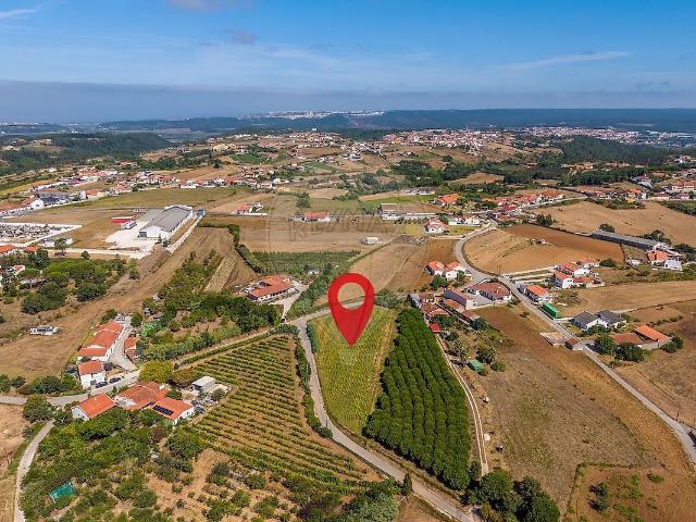 Terreno venda em Alcobaça e Vestiaria, Alcobaça