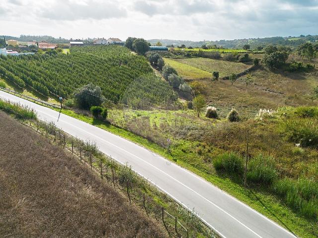 Terreno venda em Quinta do Almeida, Alcobaça