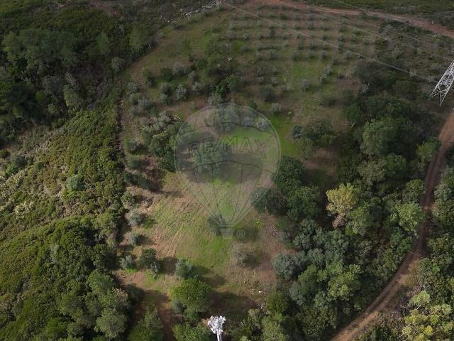 Terreno venda em Alcoentre, Azambuja