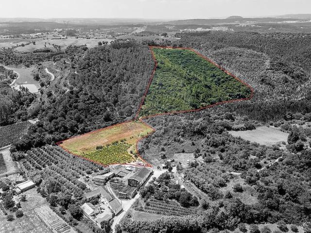 Terreno venda em Manique do Intendente, Vila Nova de São Pedro e Maçussa, Azambuja