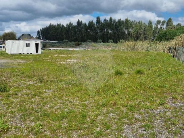 Terreno venda em Alcoentre, Azambuja