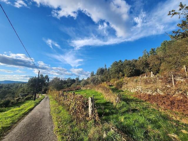 Terreno venda em Alcofra, Viseu