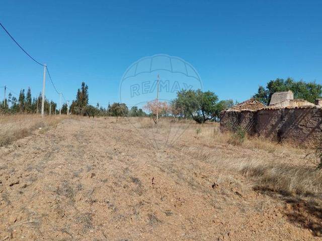 Terreno venda em Avis, Portalegre