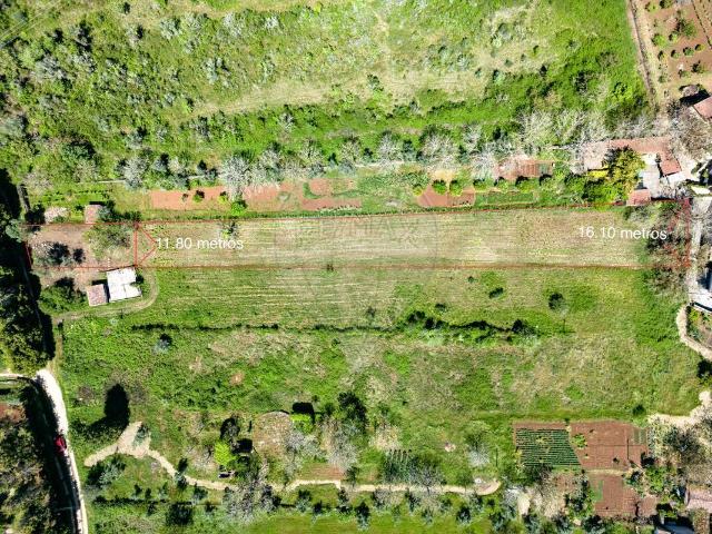 Terreno venda em Condeixa-a-nova, Coimbra