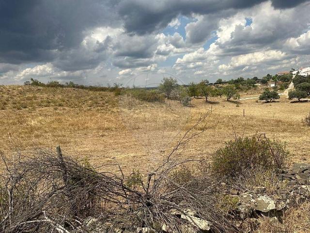 Terreno venda em Alcaria Queimada, Vaqueiros