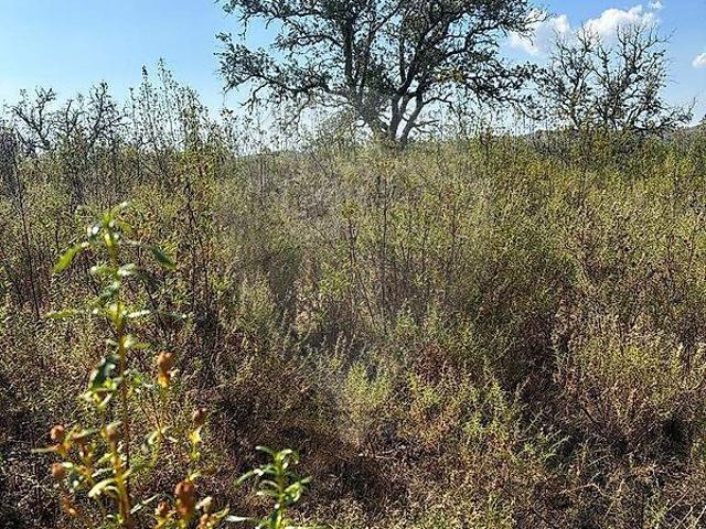 Terreno venda em Alcaria Queimada, Vaqueiros