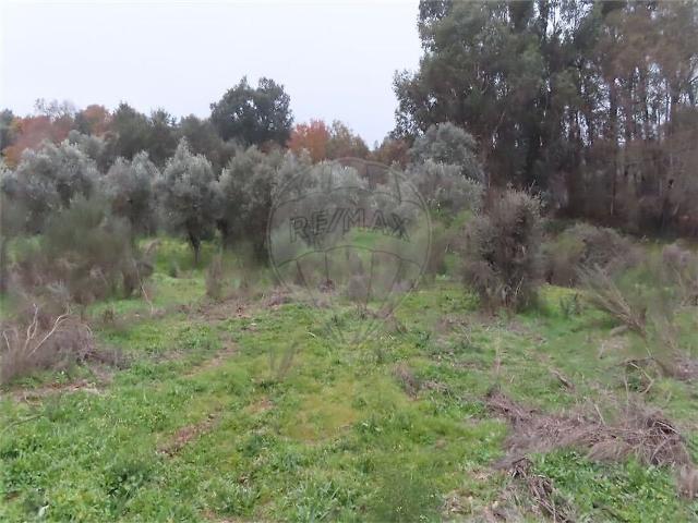 Terreno venda em Aldeia de Santa Margarida, Idanha-a-Nova