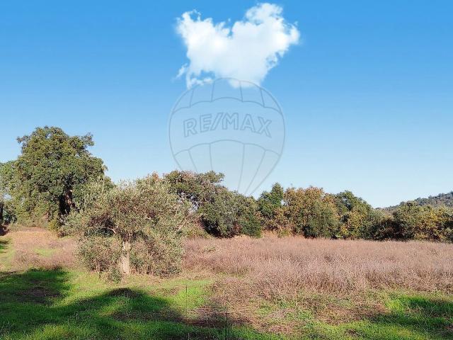 Terreno venda em Pedrógão de São Pedro e Bemposta, Penamacor