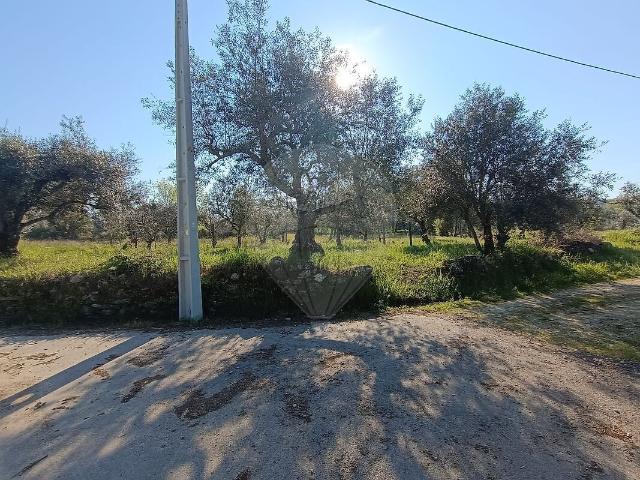 Terreno venda em Aldeia do Bispo, Águas e Aldeia de João Pires, Penamacor