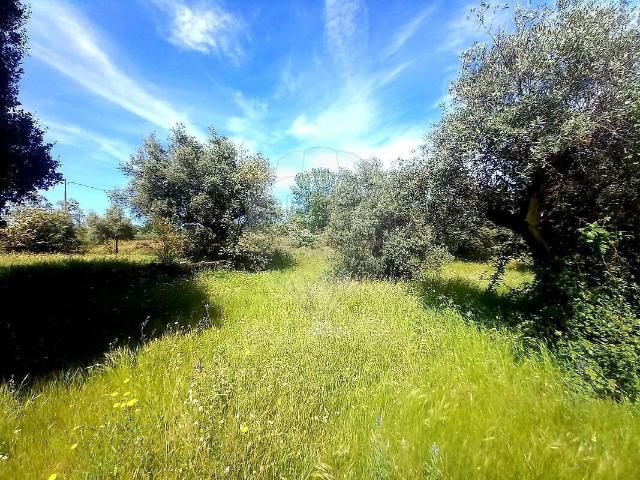 Terreno venda em Aldeia do Bispo, Águas e Aldeia de João Pires, Penamacor
