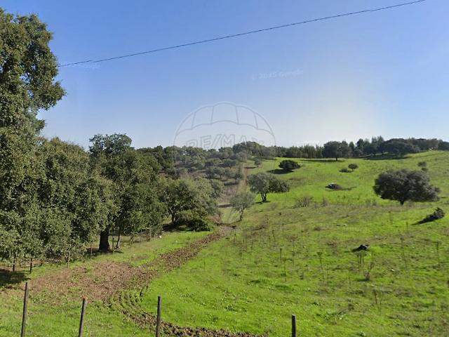 Terreno venda em Aldeia Velha, Avis