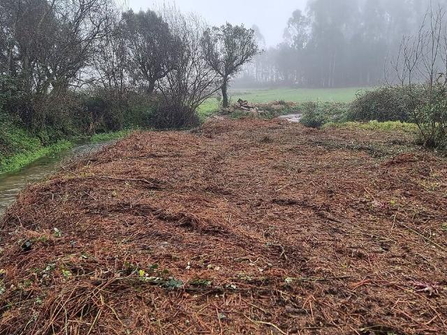 Terreno venda em Aldreu, Barcelos