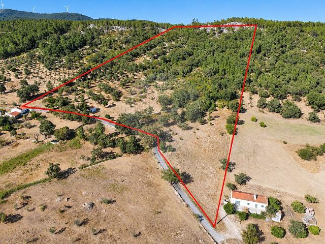 Terreno venda em Alegrete, Portalegre