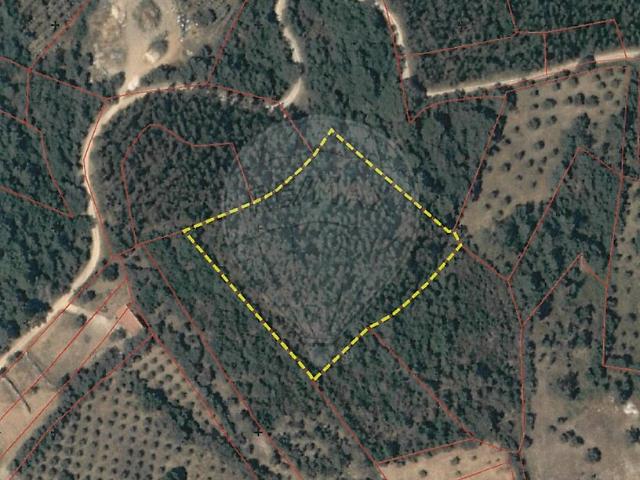 Terreno venda em Além da Ribeira e Pedreira, Tomar
