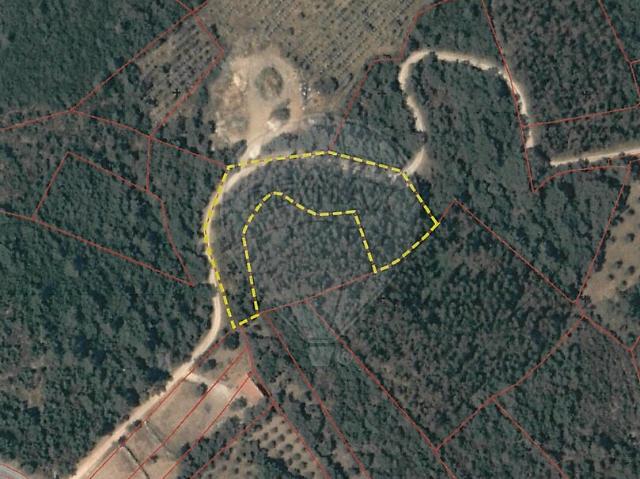 Terreno venda em Além da Ribeira e Pedreira, Tomar