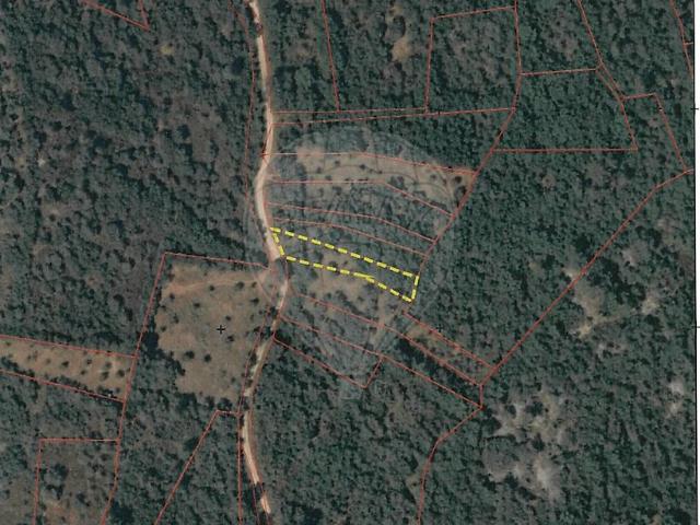 Terreno alugar em Além da Ribeira e Pedreira, Tomar