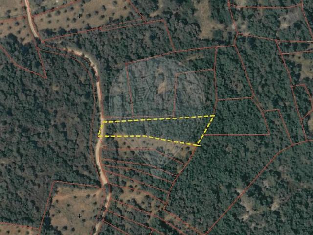 Terreno venda em Além da Ribeira e Pedreira, Tomar