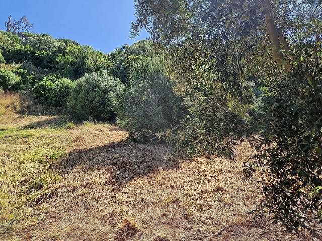 Terreno venda em Alenquer, Lisboa