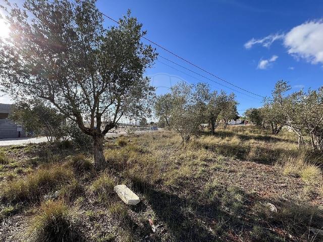 Terreno venda em Alenquer (Santo Estêvão e Triana), Alenquer