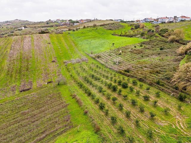 Terreno venda em Alenquer (Santo Estêvão e Triana), Alenquer