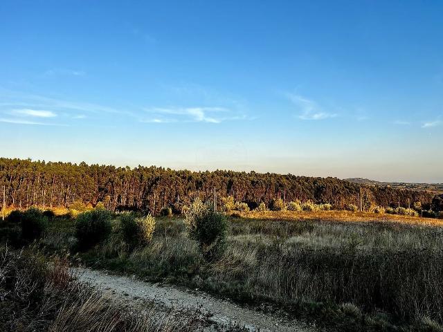 Terreno venda em Alenquer (Santo Estêvão e Triana), Alenquer