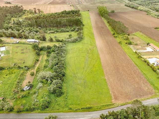 Terreno venda em Alfarelos, Soure