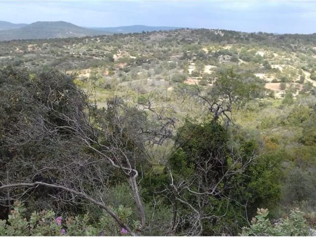 Terreno venda em Loulé, Faro