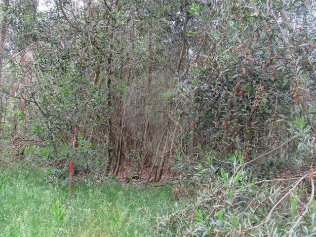 Terreno venda em Alhadas, Figueira da Foz