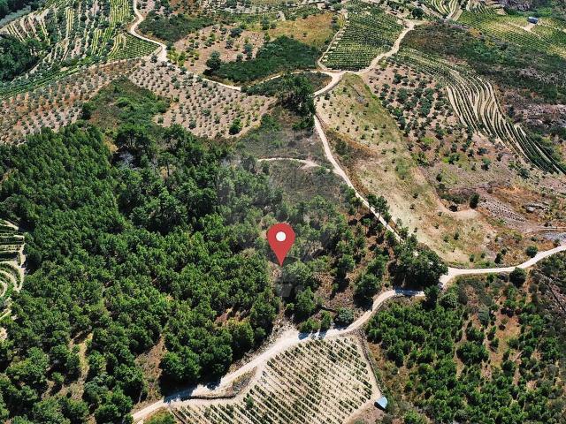 Terreno venda em Alijó, Vila Real