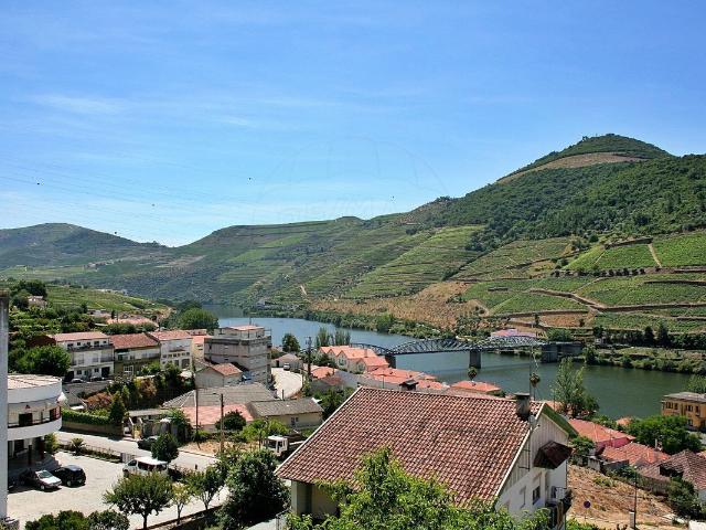 Terreno venda em Alijó, Vila Real