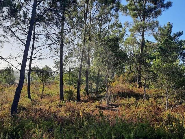 Terreno venda em Aljezur, Faro