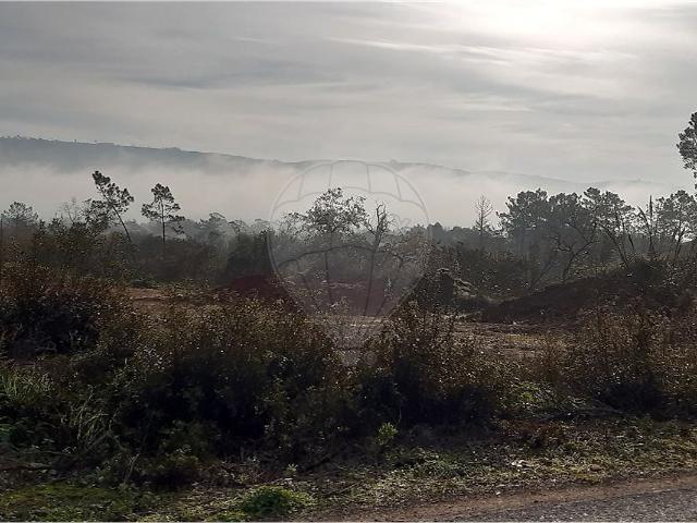 Terreno venda em Aljubarrota, Alcobaça